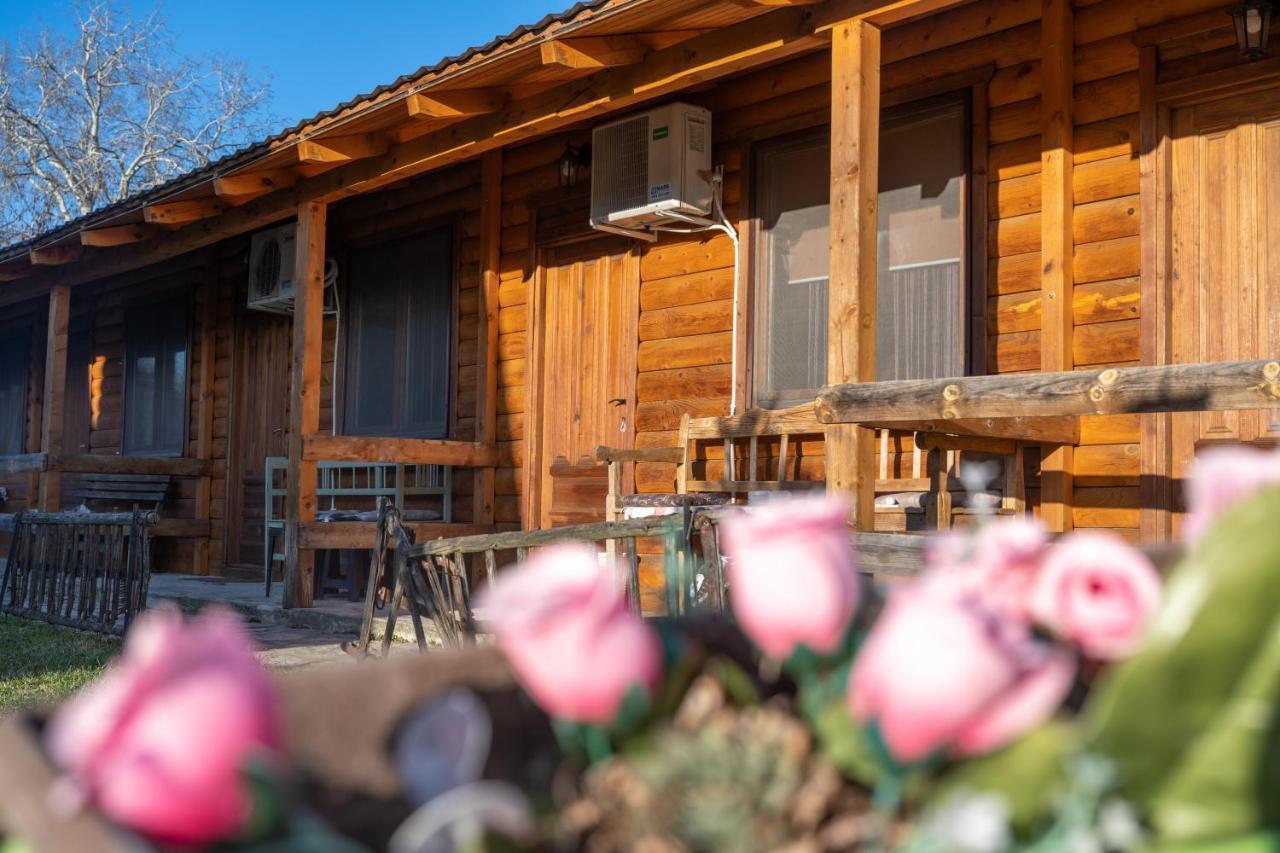 Lolini Bungalovi Novi Sad Exteriér fotografie